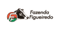 faz-figueiredo